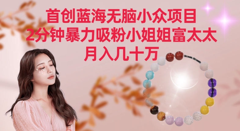 首创蓝海无脑小众项目，2分钟暴力吸粉小姐姐富太太，月入几十万【揭秘】-88共享