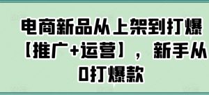 电商新品从上架到打爆【推广+运营】,新手从0打爆款-88共享