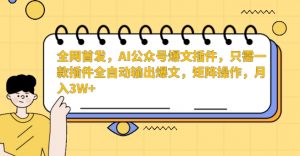 全网首发，AI公众号爆文插件，只需一款插件全自动输出爆文，矩阵操作，月入3W+【揭秘】-88共享