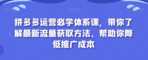 拼多多运营必学体系课，带你了解最新流量获取方法、帮助你降低推广成本-88共享