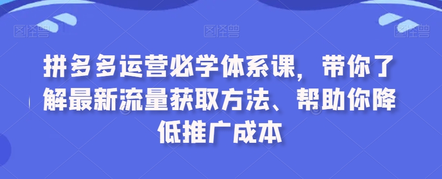 拼多多运营必学体系课，带你了解最新流量获取方法、帮助你降低推广成本-88共享