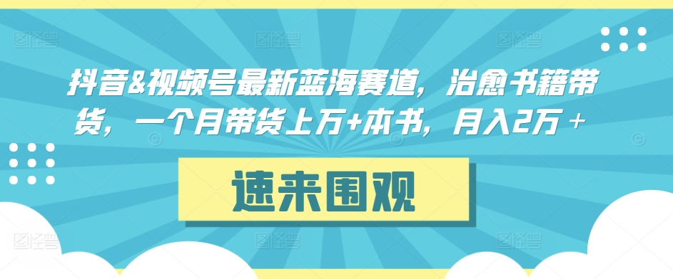 抖音&视频号最新蓝海赛道，治愈书籍带货，一个月带货上万+本书，月入2万＋【揭秘】-88共享