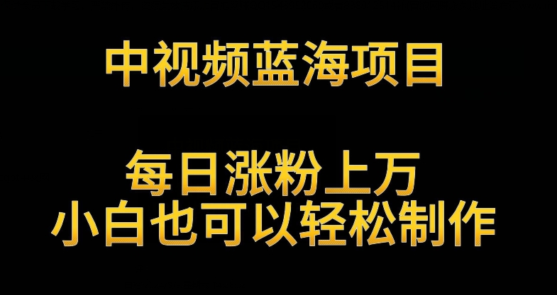 中视频蓝海项目，解读英雄人物生平，每日涨粉上万，小白也可以轻松制作，月入过万不是梦【揭秘】-88共享
