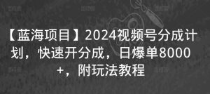 【蓝海项目】2024视频号分成计划,快速开分成,日爆单8000+,附玩法教程-88共享
