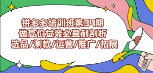 拼多多培训班第34期：做高价女装必盈利剖析选品/测款/运营/推广/拓展-88共享