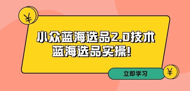 拼多多培训第33期：小众蓝海选品2.0技术-蓝海选品实操！-88共享