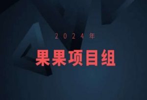 2024年果果项目组项目合集-果果最新项目-88共享