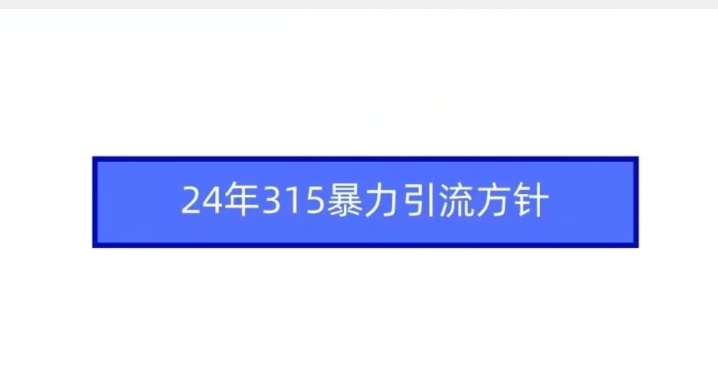 24年315暴力引流方针-88共享