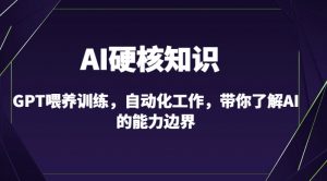 AI硬核知识-GPT喂养训练,自动化工作,带你了解AI的能力边界(10节课)-88共享