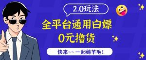 外面收费2980的全平台通用白嫖撸货项目2.0玩法【仅揭秘】-88共享
