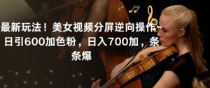 最新玩法！美女视频分屏逆向操作~日引600加色粉，日入700加，条条爆【揭秘】-88共享