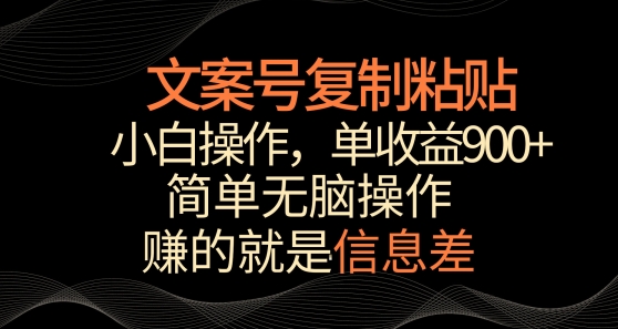 文案号掘金，简单复制粘贴，小白操作，单作品收益900+【揭秘】-88共享