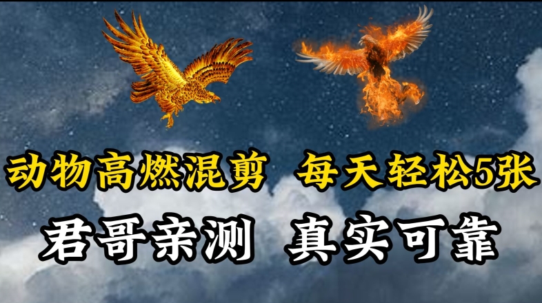 动物超燃混剪，每天轻松5张，剪辑简单大家爱看【揭秘】-88共享