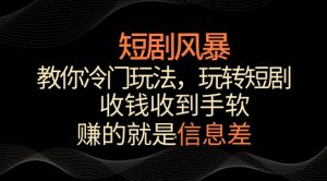 短剧风暴,教你冷门玩法,玩转短剧,收钱收到手软【揭秘】-88共享