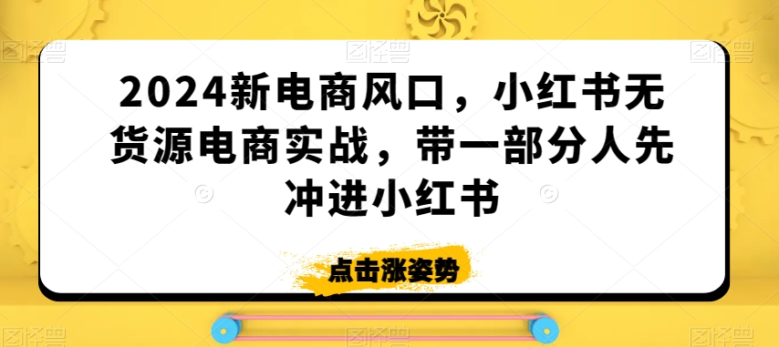 2024新电商风口，小红书无货源电商实战，带一部分人先冲进小红书-88共享