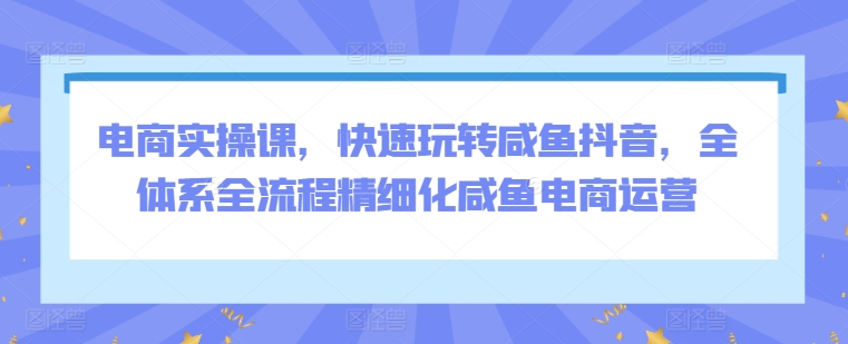 电商实操课，快速玩转咸鱼抖音，全体系全流程精细化咸鱼电商运营-88共享