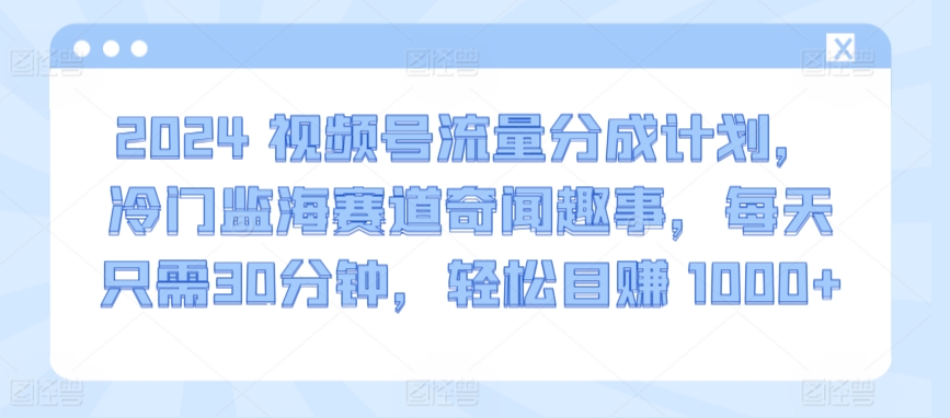 2024视频号流量分成计划，冷门监海赛道奇闻趣事，每天只需30分钟，轻松目赚 1000+【揭秘】-88共享