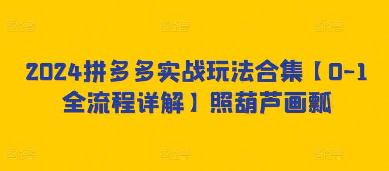 2024拼多多实战玩法合集【0-1全流程详解】照葫芦画瓢-88共享
