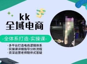 KK全域电商,全体系打造实操课,多平台打造电商逻辑体系-88共享