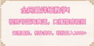 全网最详细教学，视频号蓝海赛道，口播情感视频，无需露脸，制作简单，轻松实现日入1000+【揭秘】-88共享