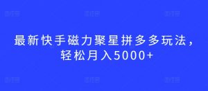 最新快手磁力聚星拼多多玩法，轻松月入5000+【揭秘】-88共享