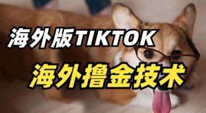 抖音海外版tiktok撸金技术，这个风口行业，赚钱真的不难【揭秘】-88共享