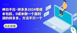 拼多多2024零成本包起,0成本做一个高利润的拼多多,方法不只一个-88共享