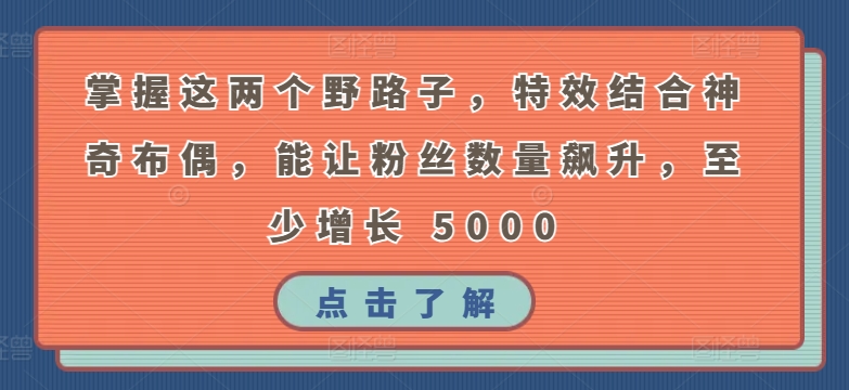 掌握这两个野路子，特效结合神奇布偶，能让粉丝数量飙升，至少增长 5000【揭秘】-88共享