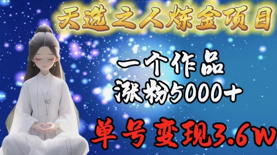 天选之人炼金项目，一个作品涨粉5000+，单号变现3.6w【揭秘】-88共享
