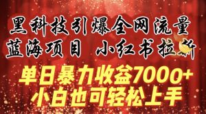 蓝海项目!黑科技引爆全网流量小红书拉新,单日暴力收益7000+,小白也能轻松上手【揭秘】-88共享