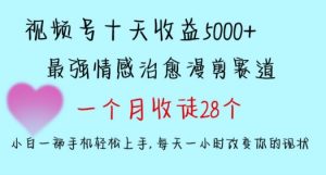十天收益5000+，多平台捞金，视频号情感治愈漫剪，一个月收徒28个，小白一部手机轻松上手【揭秘】-88共享