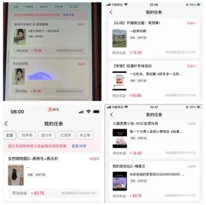 2024年3月最新,快手磁力聚星全流程实操教学,8台手机日均收益稳定100~200元【揭秘】-88共享