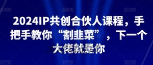 2024IP共创合伙人课程,手把手教你“割韭菜”,下一个大佬就是你-88共享