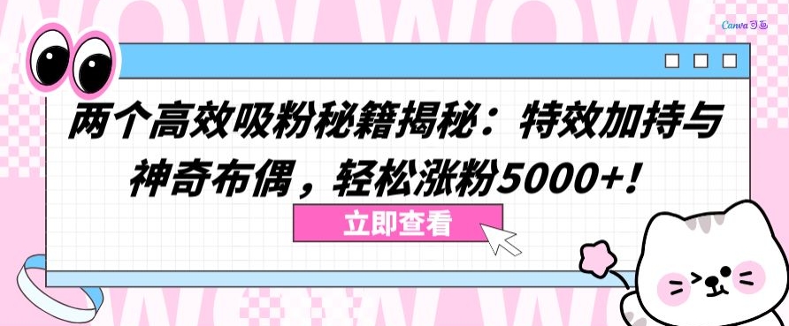 两个高效吸粉秘籍揭秘：特效加持与神奇布偶，轻松涨粉5000+【揭秘】-88共享
