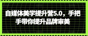 自媒体美学提升营5.0，手把手带你提升品牌审美-88共享
