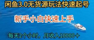 2024最新闲鱼无货源玩法，从0开始小白快手上手，每天2小时月收入过万【揭秘】-88共享