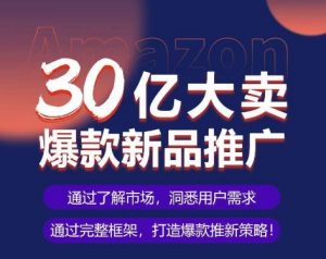 亚马逊·30亿大卖爆款新品推广,可复制、全程案例实操的爆款推新SOP-88共享