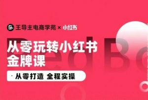 王导主·小红书电商运营实操课,从零打造 全程实操-88共享
