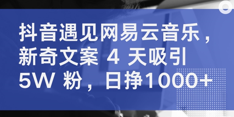 抖音遇见网易云音乐，新奇文案 4 天吸引 5W 粉，日挣1000+【揭秘】-88共享