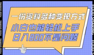一份资料多种变现方式,小白也能轻松上手,日入800不是问题【揭秘】-88共享