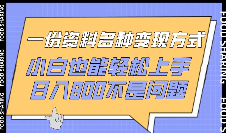 一份资料多种变现方式，小白也能轻松上手，日入800不是问题【揭秘】-88共享