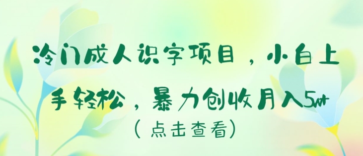 冷门成人识字项目，小白上手轻松，暴力创收月入5w+【揭秘】-88共享