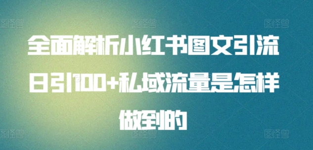 全面解析小红书图文引流日引100+私域流量是怎样做到的【揭秘】-88共享