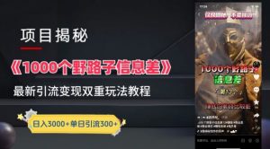 一千个野路子信息差最新玩法教程-变现+引流的玩法具体拆解【揭秘】-88共享