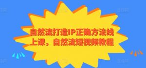 自然流打造IP正确方法线上课,自然流短视频教程-88共享