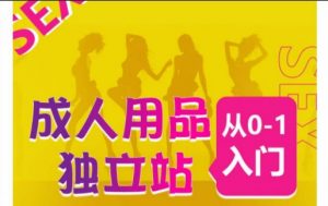 成人用品独立站从0-1入门,成品独立站运营全流程教学,七大好卖成品独立站推荐-88共享