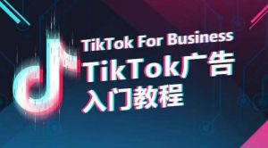 TikTok广告入门教程，从0到1掌握TikTok投放的全流程-88共享