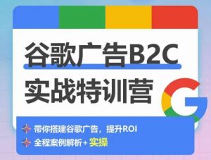 谷歌广告B2C实战特训营,500+谷歌账户总结经验,实战演示如何从0-1搭建广告账户-88共享