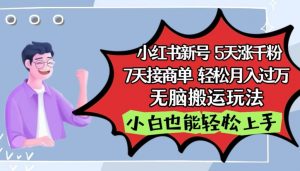 小红书影视泥巴追剧5天涨千粉,7天接商单,轻松月入过万,无脑搬运玩法【揭秘】-88共享
