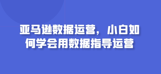 亚马逊数据运营，小白如何学会用数据指导运营-88共享